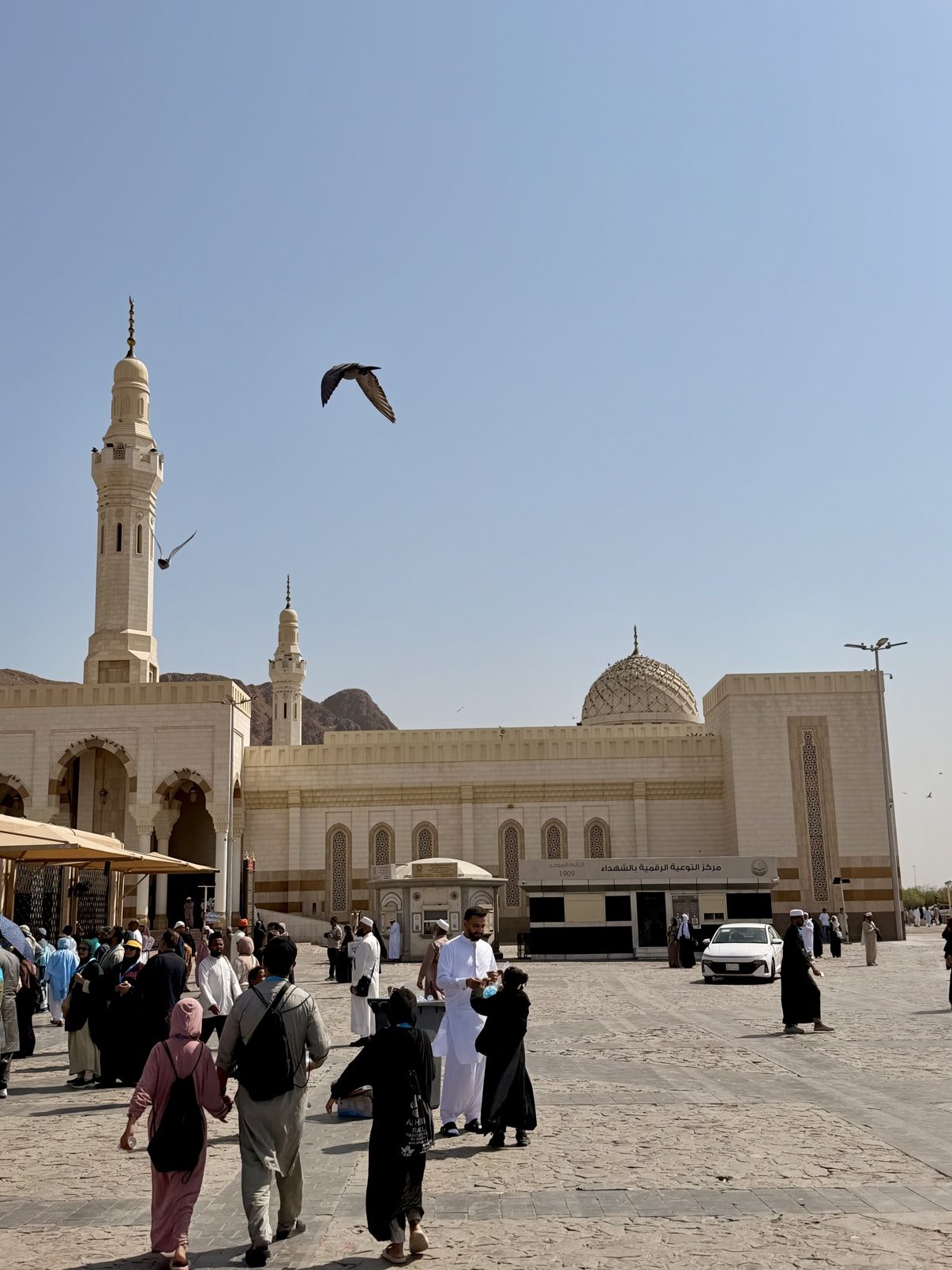 A mosque courtyard in Madinah on a bright morning